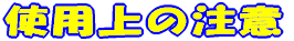 �g�p��̒���
